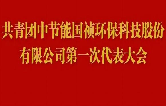 共青团彩名堂官网第一次代表大会胜利召开