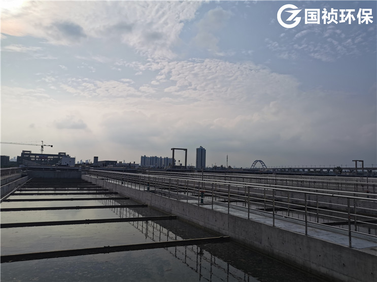 彩名堂(中国区)官方网站入口