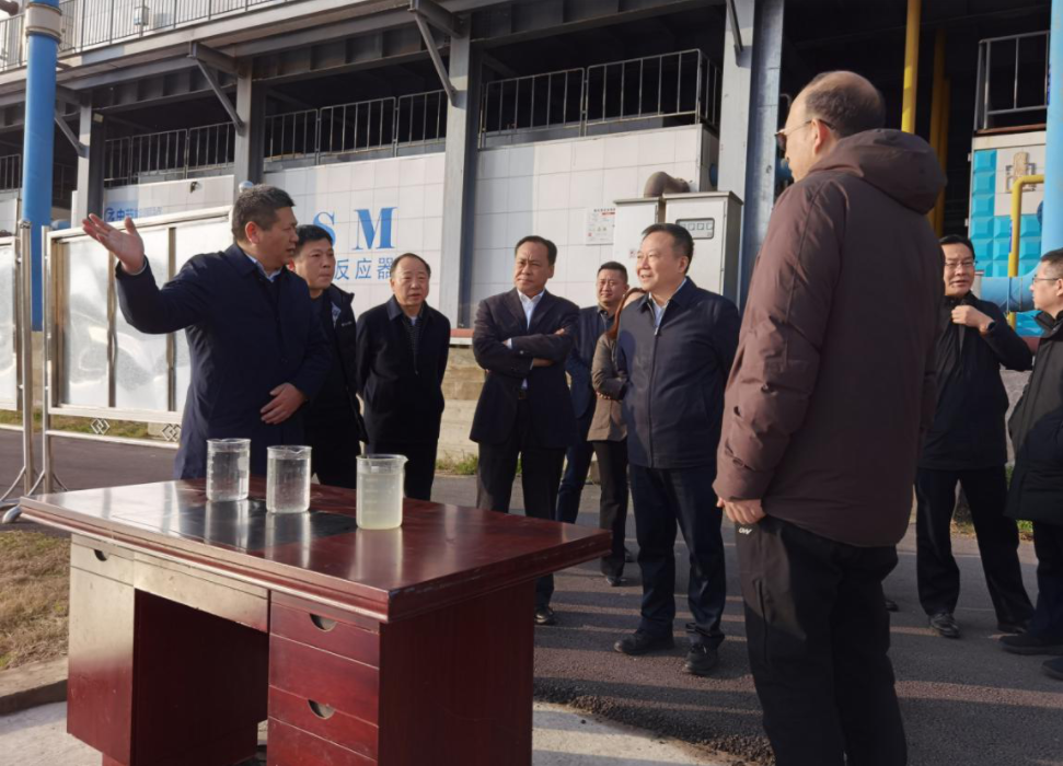 彩名堂(中国区)官方网站入口