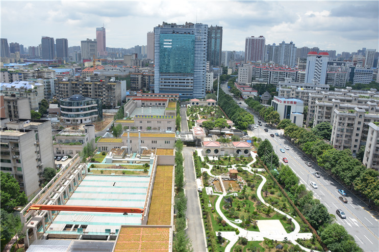 彩名堂(中国区)官方网站入口