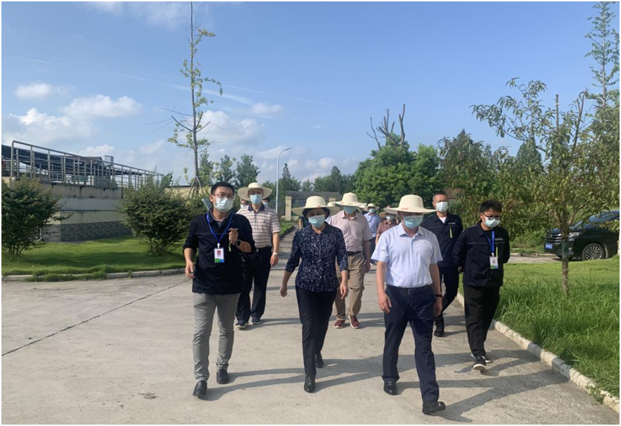 彩名堂(中国区)官方网站入口