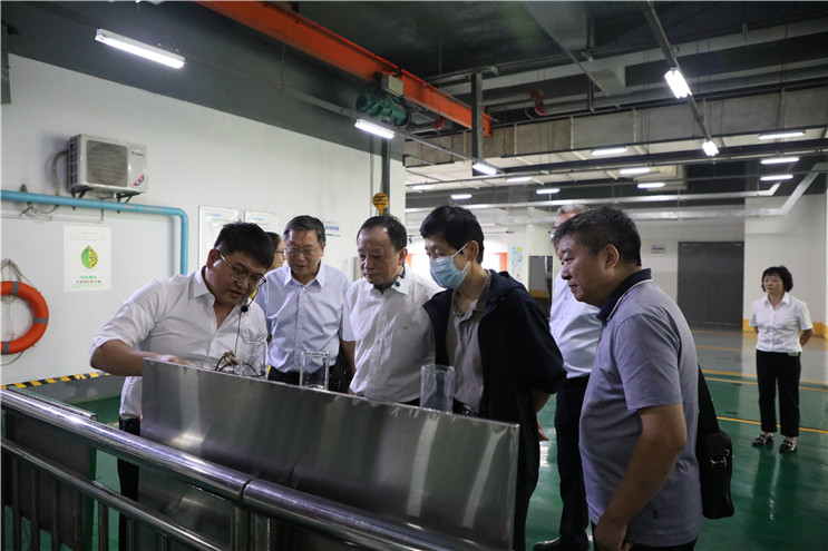 彩名堂(中国区)官方网站入口