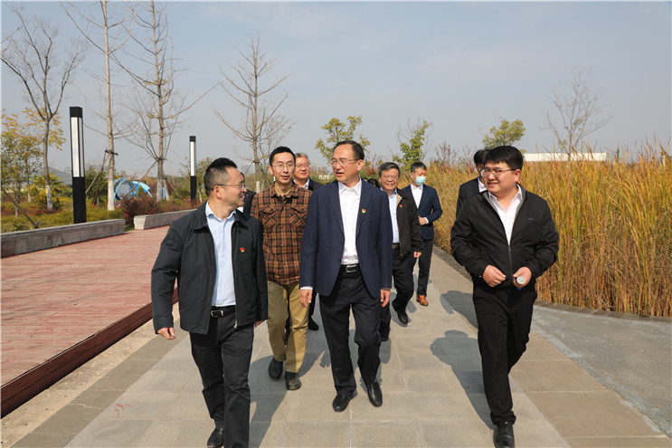 彩名堂(中国区)官方网站入口
