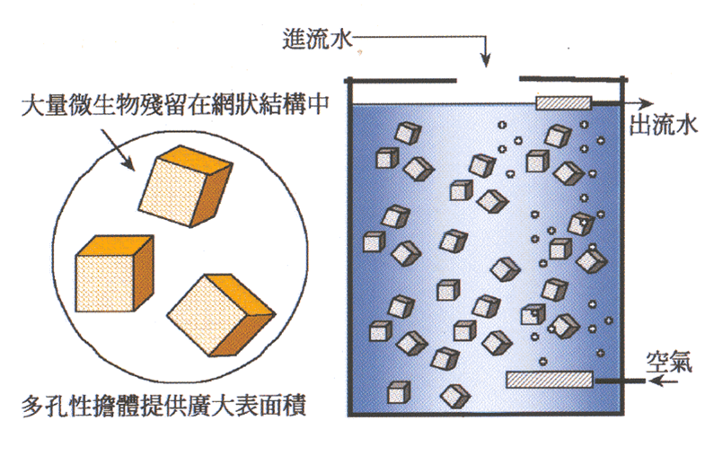 彩名堂(中国区)官方网站入口