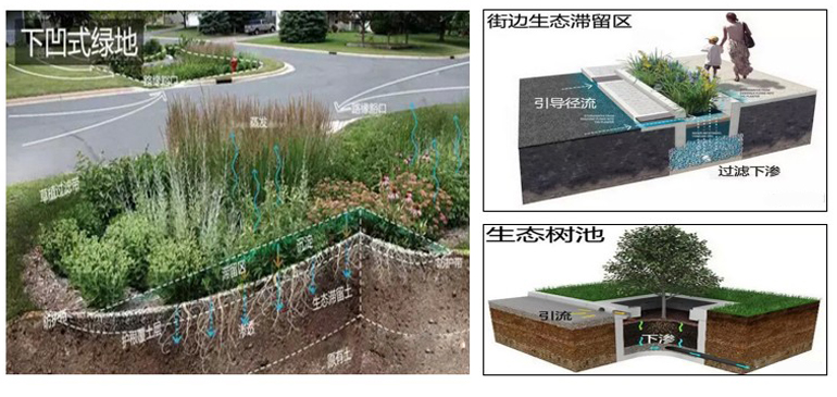 彩名堂(中国区)官方网站入口