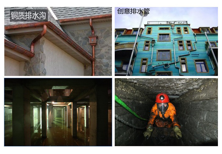 彩名堂(中国区)官方网站入口